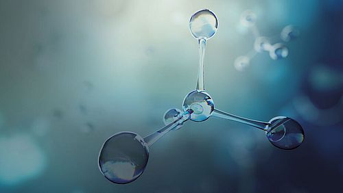 Science-Policy-Dialog: Blind spots in climate protection