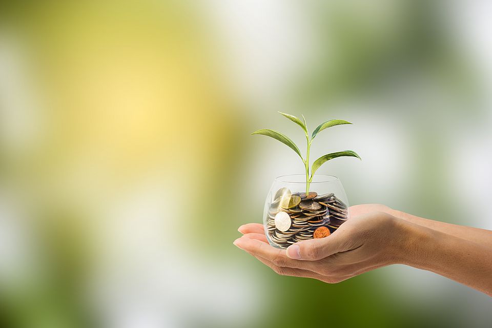 Bild einer Frauenhand, die ein Glas aus Münzen hält, aus dem eine Pflanze wächst vor verschwommenem grünweissen Hintergrund als Symbol für finanzielle Unterstützung.