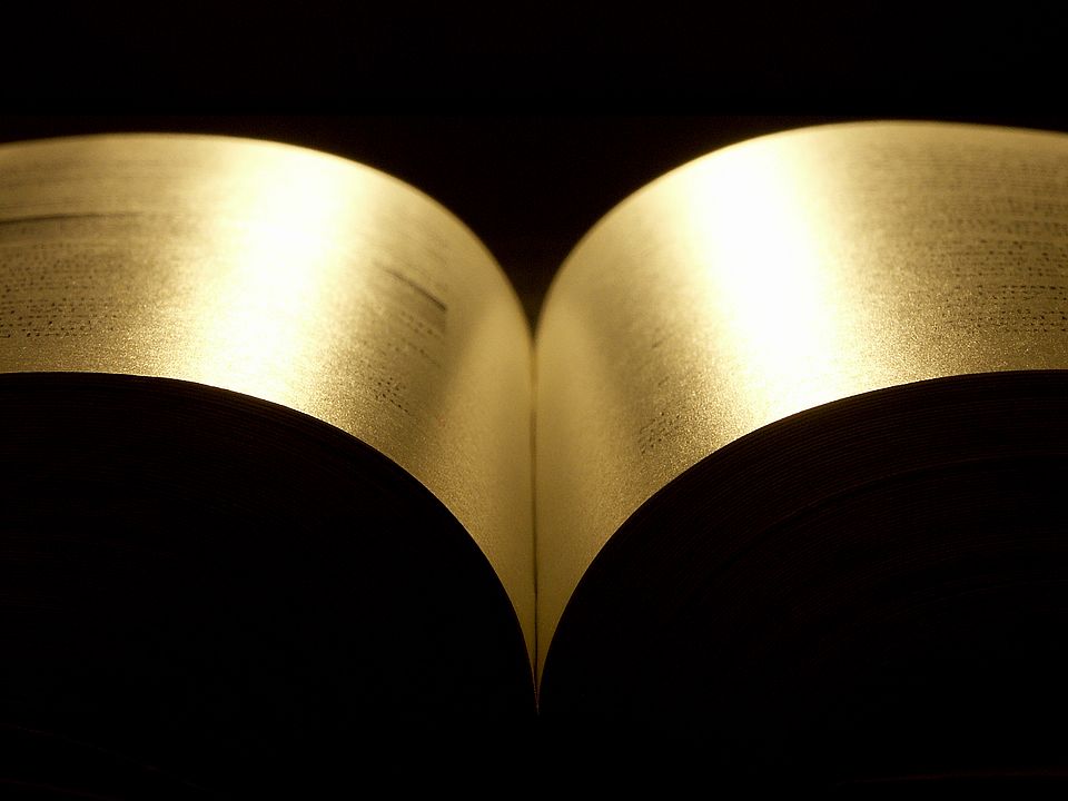 Buch offen gold auf schwarz