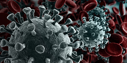 Mikroskopische Darstellung runder Coronaviren in schwarztürkiser Färbung vor roten Blutblättchen im Hintergrund.
